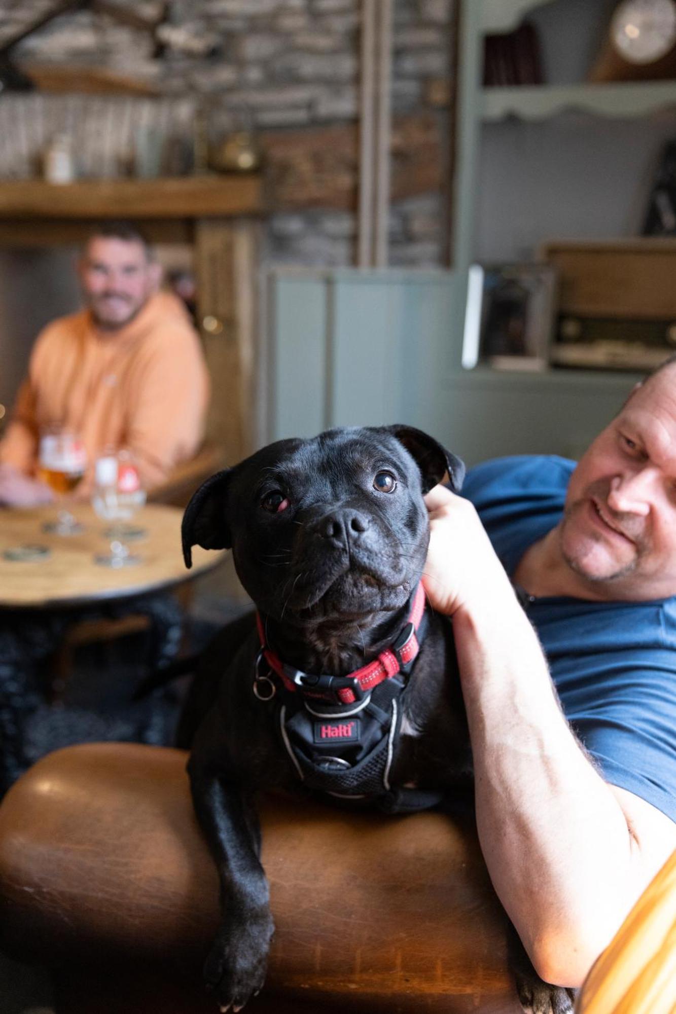 The Bear Inn Llantrisant  Extérieur photo